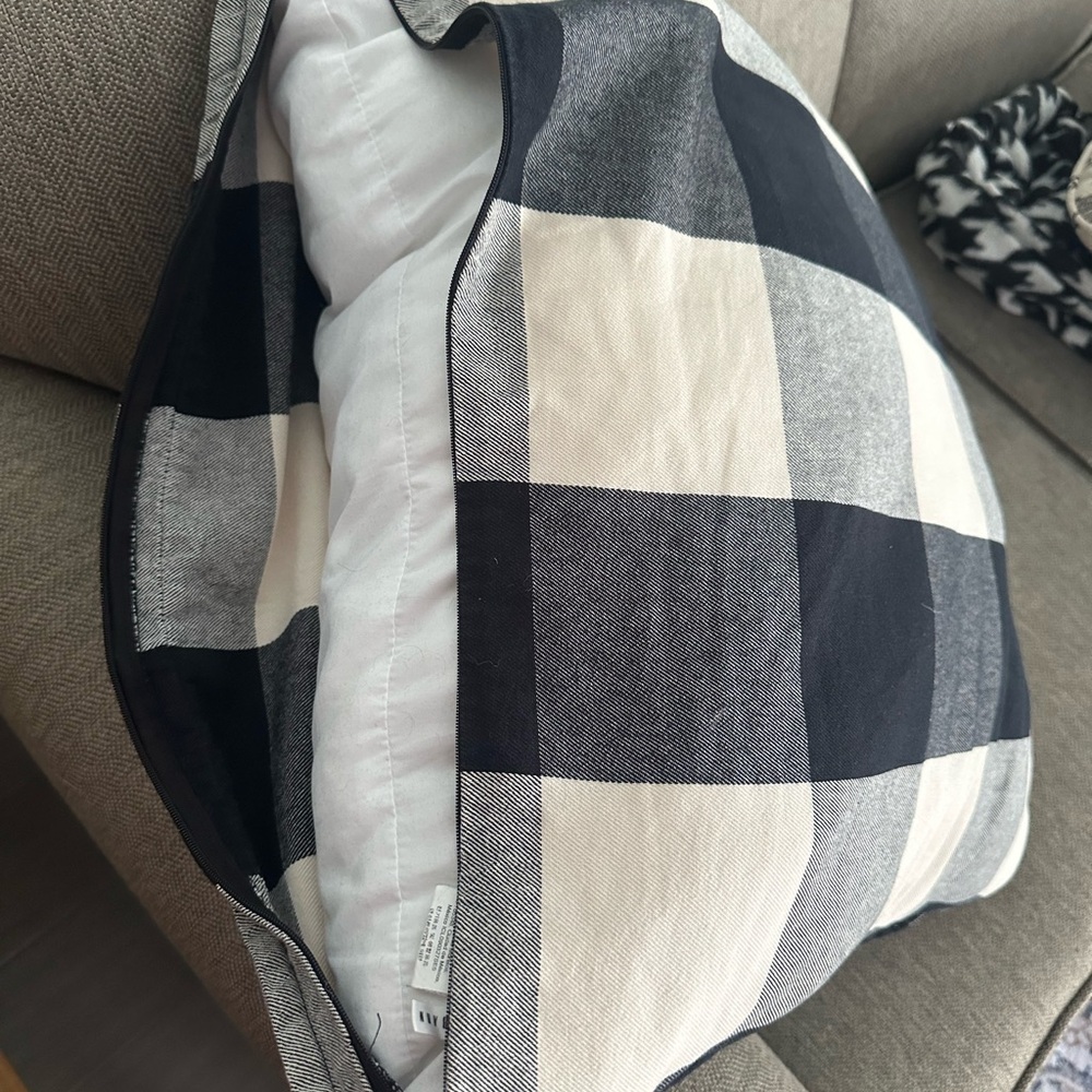 Pottery Barn Black and White Checkered Accent Pillows - Picture 6 of 8